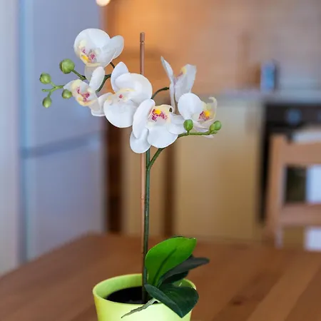 Laguna Family By Bltn Lejlighed Siófok